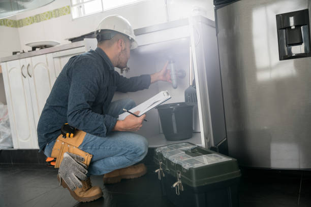Best Local Plumber Services  in East Grand Rapids, MI